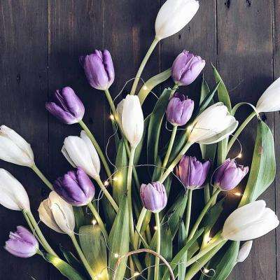 开元ky7818老版本app下载